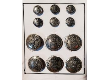 Collection Of Vintage Waterbury Button Co. Military Eagle Buttons