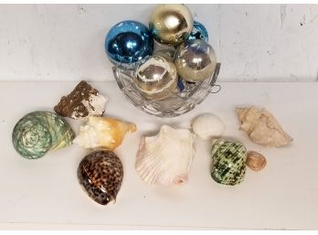Vintage Shells, And Ornaments