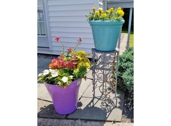 Rustic Wrought Iron Plant Stand & 2 Pots Of Potted Live Plants