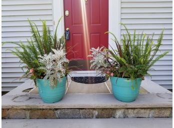 Pair Of Large Glazed Acrlylic Patio Container With Live Ferns And Other Plants