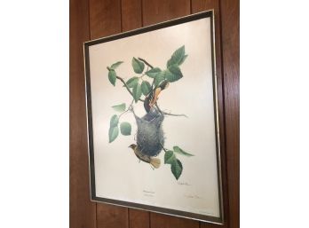 'Baltimore Oriole' Signed Lithograph With Certificate Of Authenticity