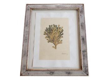 Trowbridge Albertus Coral Seashell Print Purchased From Lillian August (RETAIL $498)