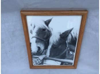 Vintage Black And White Photo Of Horses
