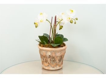 Decorative Faux Phalaenopsis Orchid