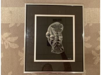 Vintage 1970's Rudy Droguett, Scratch Board Print Of Kitten Reflection