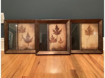 Three Coordinating Framed Leaf Prints With Copper Fillet Details