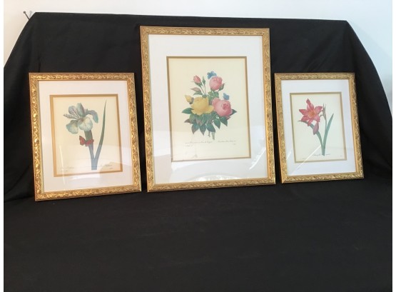 Set Of 3 Floral Prints