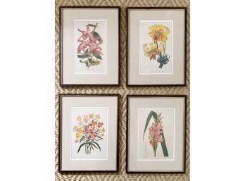 Set Of 4 Vintage Floral Framed Prints