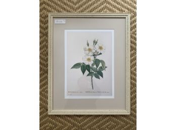White Gardenia Flower Framed Print
