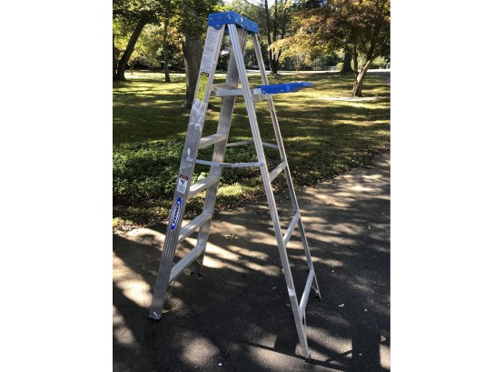 Werner  6 Foot Aluminum Step Ladder