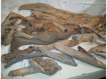 25 Pieces Of Driftwood -50 YEAR COLLECTION ! - ALL Great Pieces ! (HUGE TIME SAVER !)
