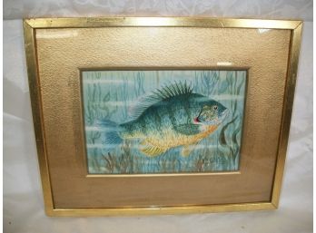 FABULOUS 'Estate Fresh' W.B. Gillette Watercolorof Fish AMAZING COLORS ! ! !