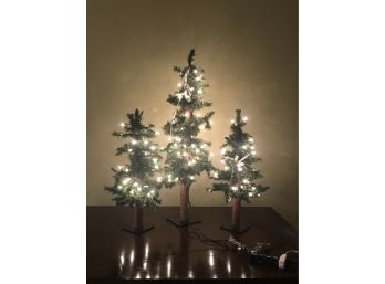 Small Prelit Christmas Tree Trio - Bonus