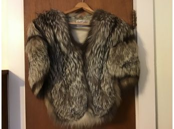Very SASSY Fur From Torrington CT