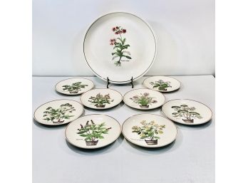 Set Of 8 Mid Century Nelson Lebo Designed Ceramic Herb Plant Botanical Plates