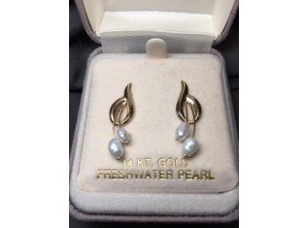 Lovely Brand New 14kt Gold & Freshwater Pearl Earrings In Gift Box - Beautiful !