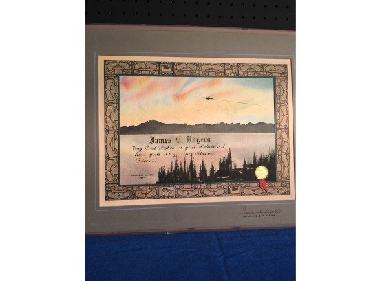 Handpainted Flying Award With Federation A VA Sticker Signed By Artist And Buy The Aviation Director