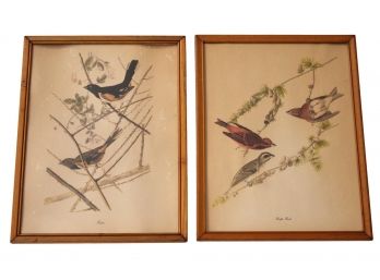 Pair Of Paul Whitney Hunter 'Purple Finch' And 'Towhee' Bird Color Reproduction Prints