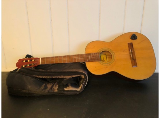 Vintage Ariana A102 Acoustic Guitar With Padded Case And Attached Pick Holder