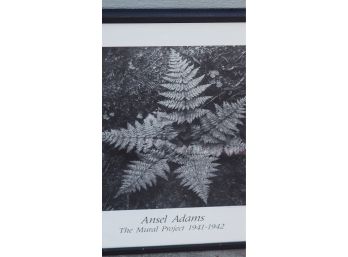 Wonderful Ansel Adams Prints (2)