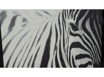 Awesome Zebra Print, Huge!