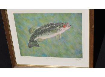 Wonderful Signed Donald Moss Lithograph 'Largemouth Bass Taking A Scarlet Ibis Fly'