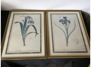 Pair Of Iris Prints
