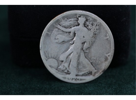 1920 D Silver Walking Liberty Half Dollar Coin Sc