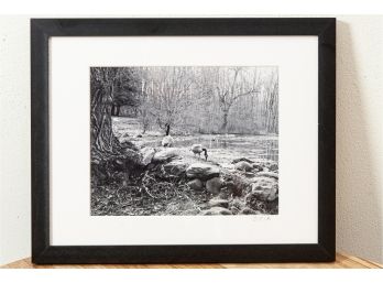 Black & White Photograph Of Canada Geese By Betty Pia