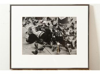 'Trafalgar Pigeons' Black & White Photograph By Betty Pia