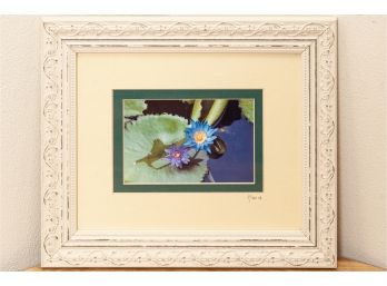 Signed Color Photography Of Waterlilies