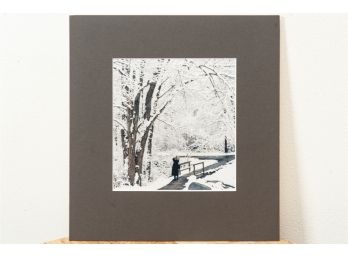 Photograph Of A Woman Photographing A Tree On A Snowy Winter's Day