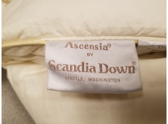 Scandia Down 'Ascensia' Series King Comforter (Retailed At Over $1000)