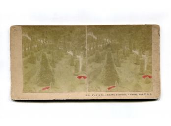 STEREOVIEW PHOTO KILBURN - HUNNEWELL GROUNDS WELLESLEY, MASS