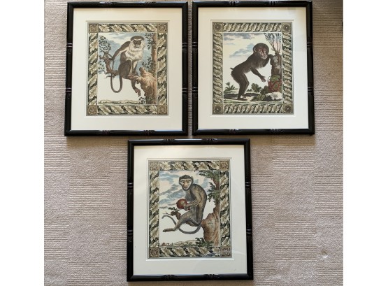 Trio Of Monkey Lithographs Framed By J Pocker & Son, Inc.