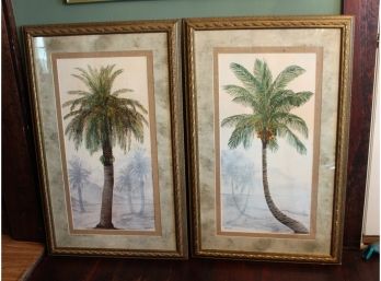 Pair Of Art In Motion CK McKinley Tropical Framed Palm Tree Prints