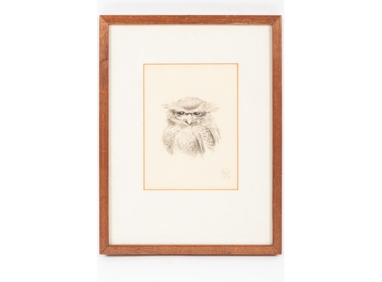 Vintage Pencil Sketch Of An Owl