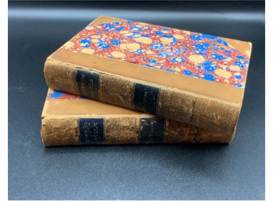 2 Antique Books ~ James Fenimore Cooper’s Novels ~  Deerslayer & Sea Lion’s