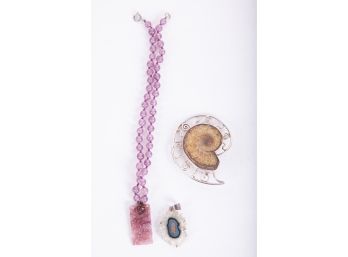 Nautilus Fossil & Gemstone Pendant Collection
