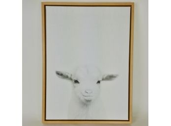 Print On Canvas, A Baby Goat
