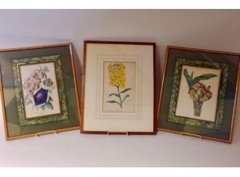 Three Vintage Botanical Prints