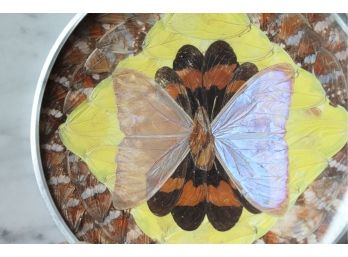 Incredibly Gorgeous Vintage Butterfly Dish! Great Colors!