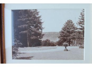 Another Wonderful Sepia Photographic Print Of An Ancient Garden With Fir Trees