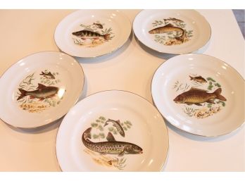 Set Of 5 NAAMAN Hand Painted Fish Plates.  Made In Isreal