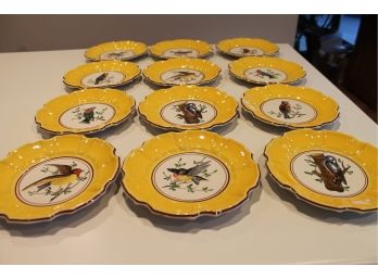RARE Set Of 12 Vintage Yellow Hand Painted Bird Plates. Made In Italy