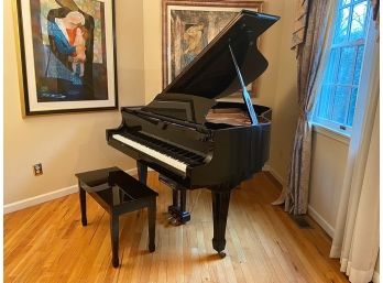 W. M. Knabe Black Baby Grand Piano With PianoDisc System