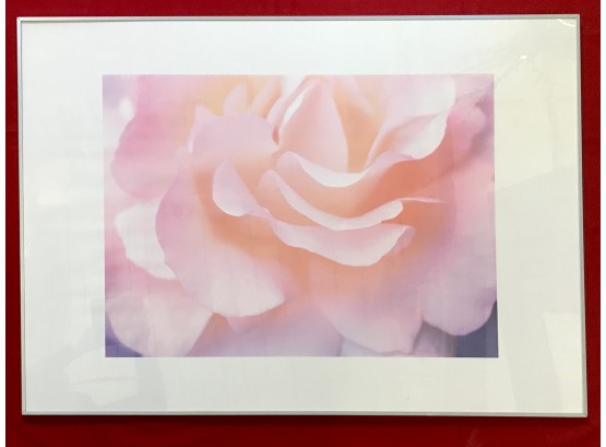 Framed Ikea Rose Print
