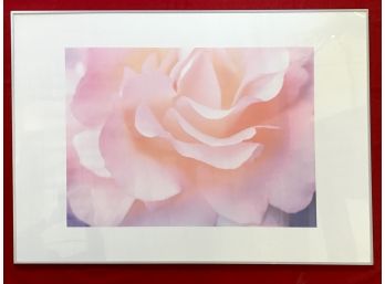 Framed Ikea Rose Print