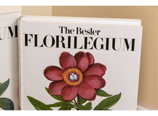 The Bessler Florilegium - Plants And The Four Seasons