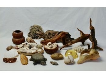 Nature Lot - Driftwood, Shells, Beehive, Rocks